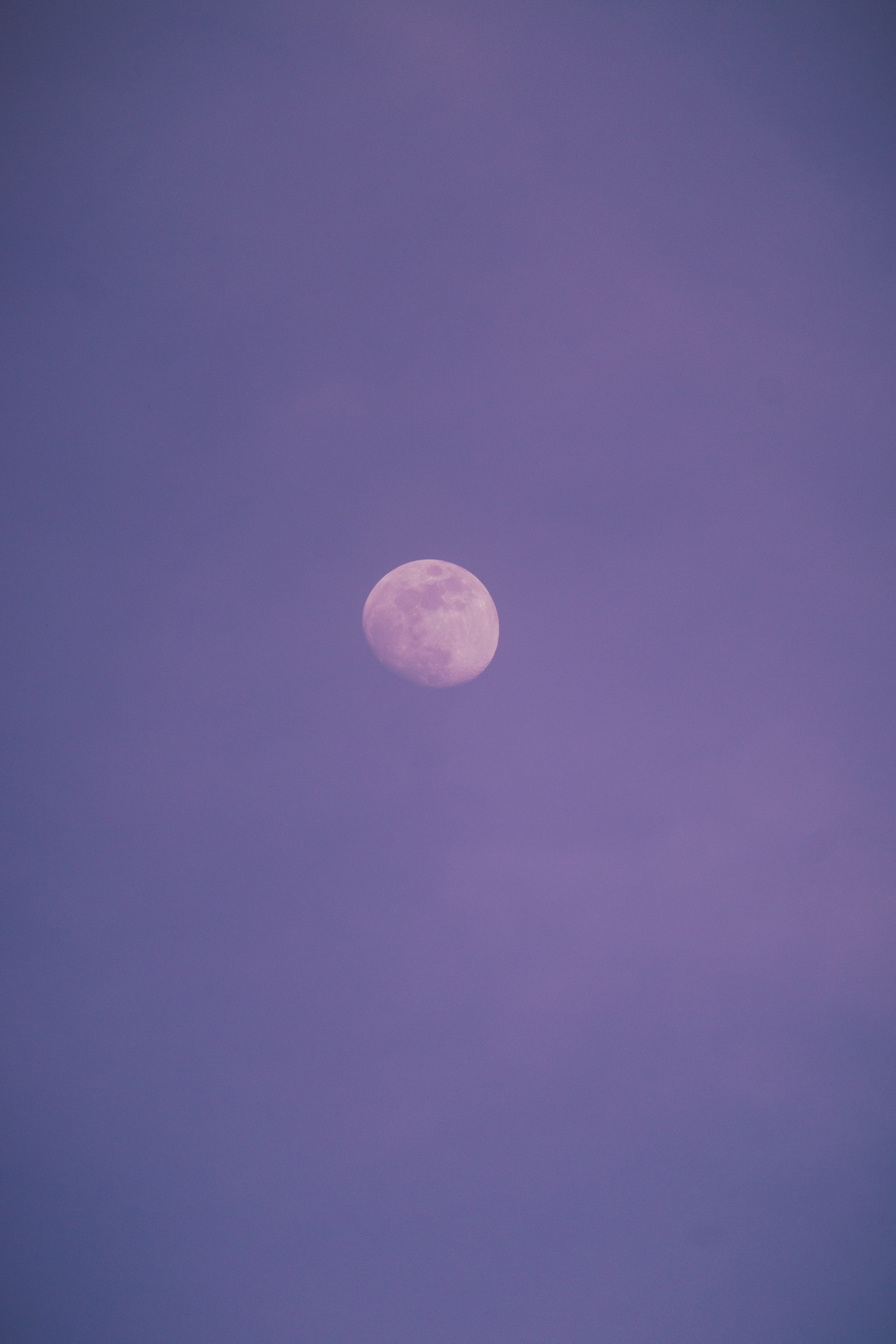 white-moon-purple-night-sky.jpg